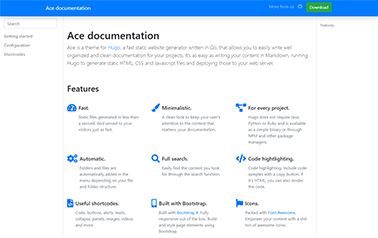 Ace documentation