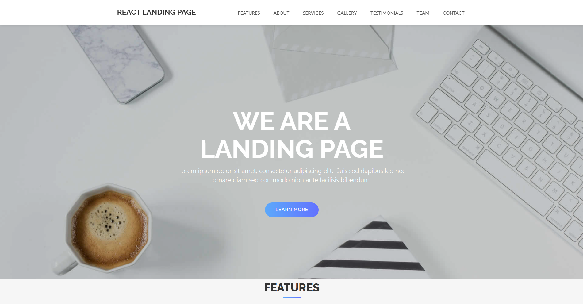 React JS Landing